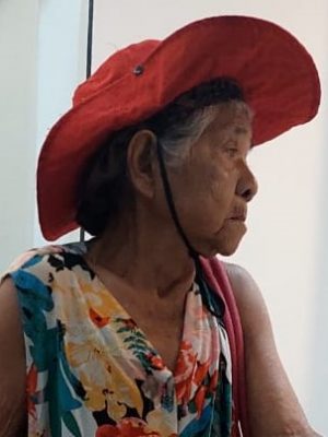 A Polícia Civil do Amazonas (PC-AM), por meio da Delegacia Especializada em Ordem Política e Social (Deops), solicita a divulgação da imagem de Marquizete Peris Pereira, 82, que desapareceu no domingo (27/04), quando foi vista pela última vez no município de Novo Airão (a 115 quilômetros de Manaus).