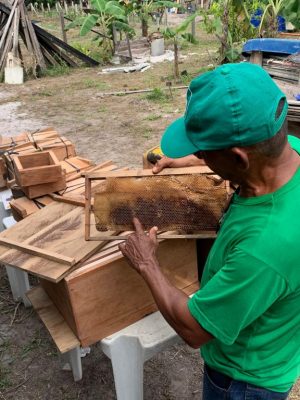 De 29 a 31 de julho, o Instituto de Desenvolvimento Agropecuário e Florestal Sustentável do Estado do Amazonas (Idam) realiza, em Novo Airão (distante 115 quilômetros de Manaus), o curso “Práticas Sustentáveis na Agricultura Familiar Amazônica”. A capacitação será direcionada a agricultores familiares e funcionários do Hotel Anavilhanas, onde as aulas serão ministradas.