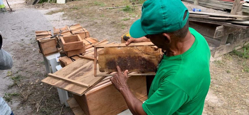 De 29 a 31 de julho, o Instituto de Desenvolvimento Agropecuário e Florestal Sustentável do Estado do Amazonas (Idam) realiza, em Novo Airão (distante 115 quilômetros de Manaus), o curso “Práticas Sustentáveis na Agricultura Familiar Amazônica”. A capacitação será direcionada a agricultores familiares e funcionários do Hotel Anavilhanas, onde as aulas serão ministradas.
